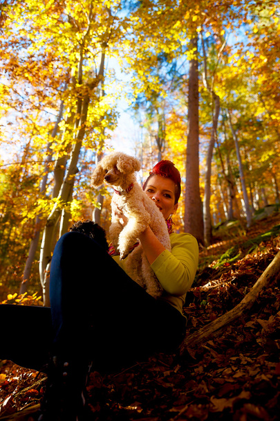 Jolie fille avec chien blanc souriant et étreignant à la forêt d'automne en plein air
. - Photo, image