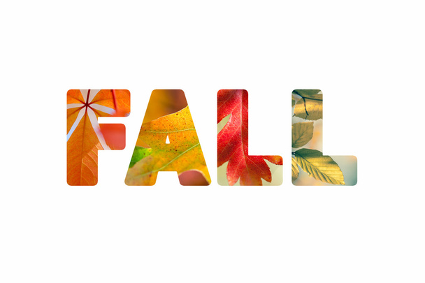 Word Fall with different colorful nature leaves photos - Photo, Image