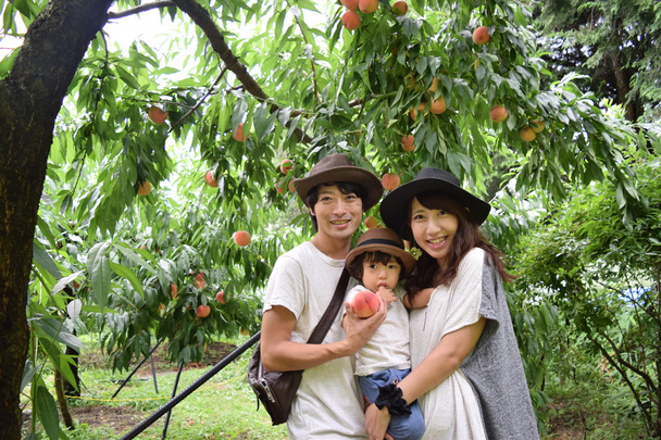 jovem família está sorrindo para o pomar de pêssego
 - Foto, Imagem