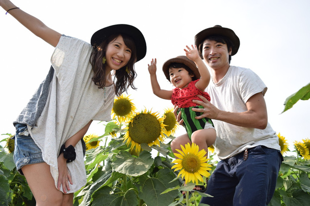 Genç aile ayçiçeği alanıyla gülümsüyor - Fotoğraf, Görsel