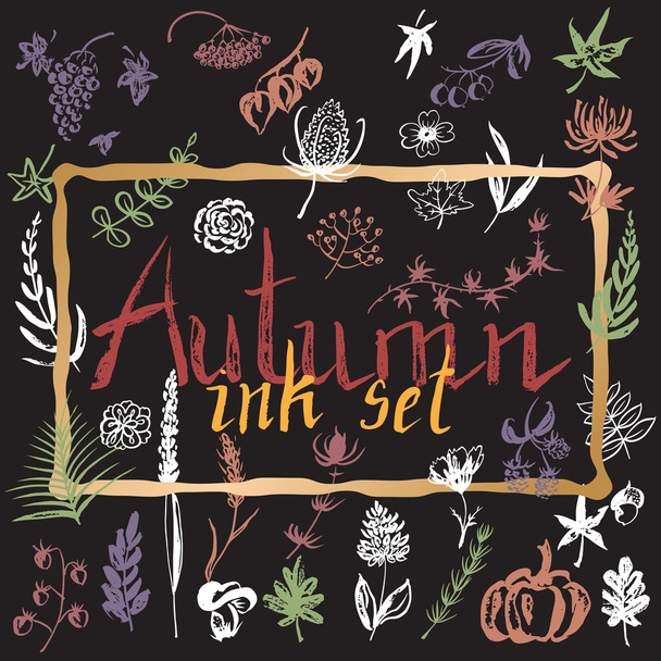 Set of hand painted autumn leaves, flowers, herbs and berries. - Vektor, obrázek