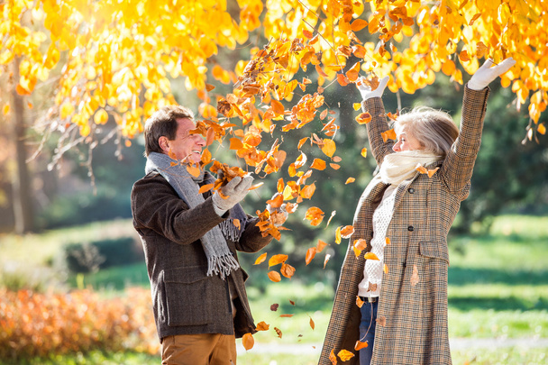 Active senior couple in autumn park   - Photo, Image