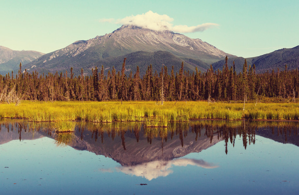 Piękne góry Alaski - Zdjęcie, obraz