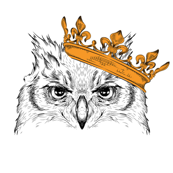 Hand draw Image Portrait owl  in the crown. African / indian / totem / tattoo design. Use for print, posters, t-shirts. Hand draw vector illustration - Vetor, Imagem