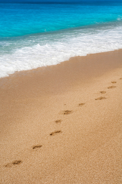 Kroki na plaży - Zdjęcie, obraz