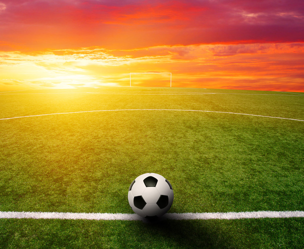 pelota de fútbol en la hierba  - Foto, Imagen