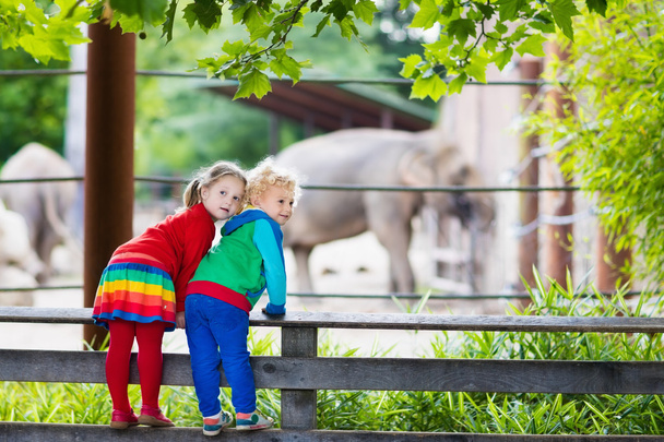 Niños viendo elefantes en el zoológico
 - Foto, imagen