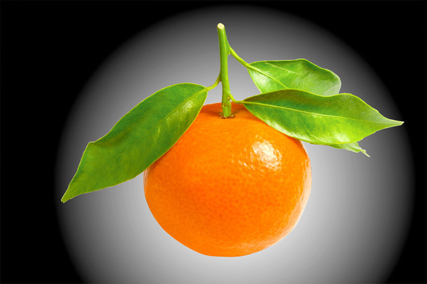 Mandarina aislada
 - Foto, imagen