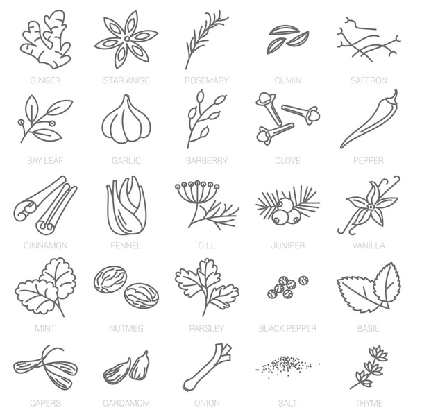 βότανα και μπαχαρικά, τα εικονίδια  - Διάνυσμα, εικόνα