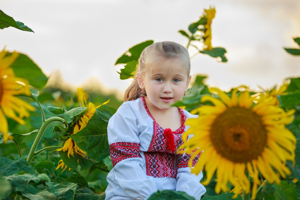 little girl on the field with sunflowers - Photo, Image