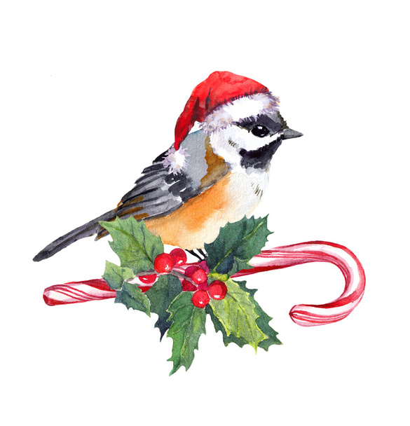 Christmas bird in hat on candy cane with mistletoe. Watercolor - Zdjęcie, obraz