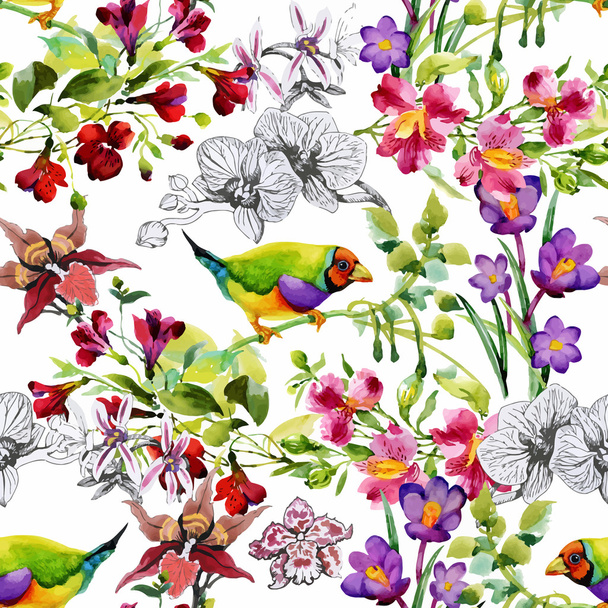 καλοκαίρι τροπικά λουλούδια και τα εξωτικά πουλιά - Διάνυσμα, εικόνα