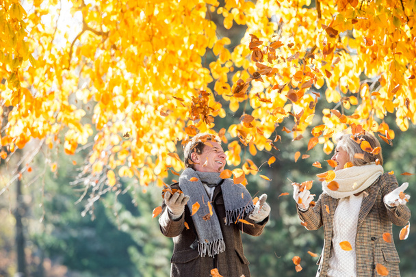 Aktivní senior pár v podzimním parku  - Fotografie, Obrázek