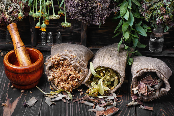 ervas medicinais tradicionais
 - Foto, Imagem