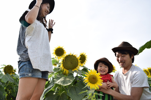 Nuori perhe hymyilee auringonkukkapellolla.
 - Valokuva, kuva