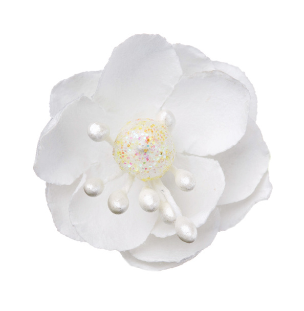 Blütenkopf isoliert, schöne Dekoration, Draufsicht - Foto, Bild