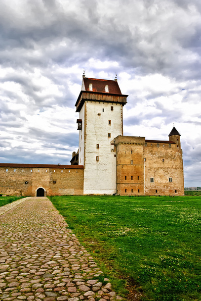 Belle vue sur le château médiéval
 - Photo, image