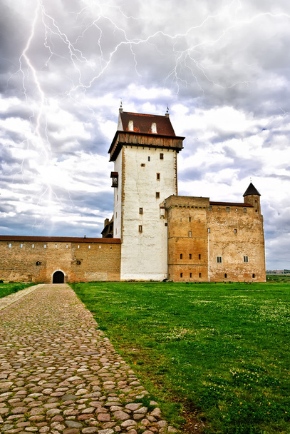 Medieval castle with clouds and lightning - 写真・画像