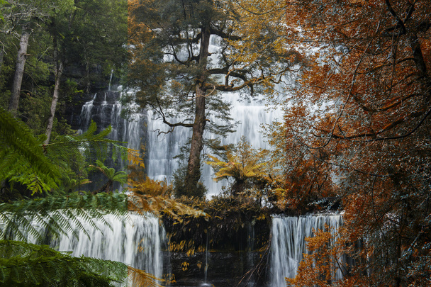 Russel Falls nel Parco Nazionale di Mount Field
. - Foto, immagini