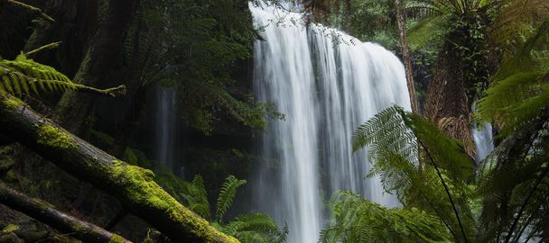 Russel Falls w montażu w terenie Parku Narodowego. - Zdjęcie, obraz