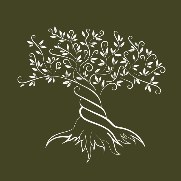 Olive tree outline curl silhouette icon - Vettoriali, immagini