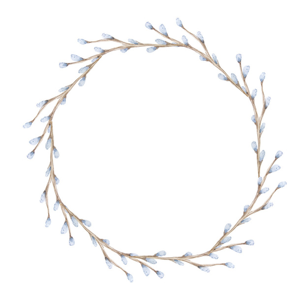 Watercolor pussy-willow branches wreath - Photo, image
