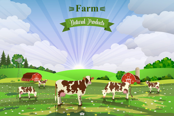Maaseudun auringonnousu maisema lehmillä ja maatilalla
 - Vektori, kuva