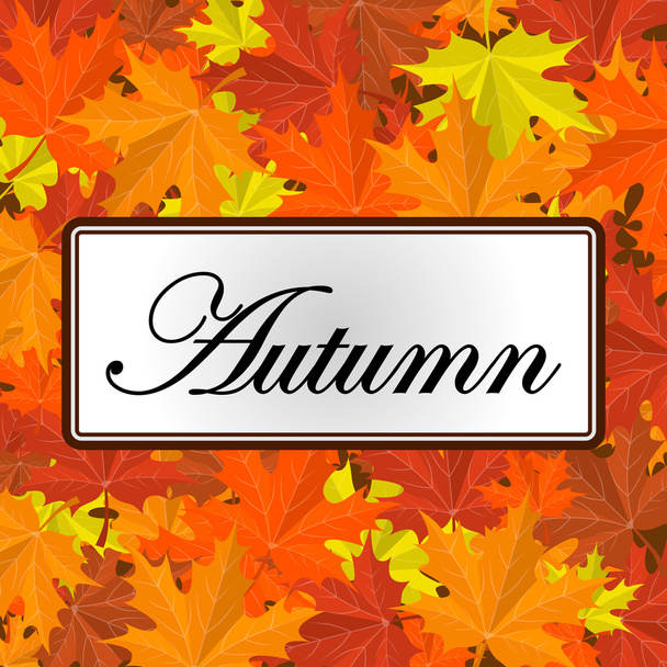 Autumn leaves background - Vector, Image