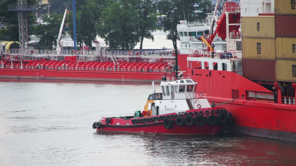 Frachtfähre kommt im Seehafen an - Filmmaterial, Video