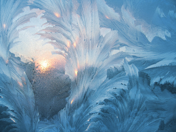 Frost and sun - Photo, Image