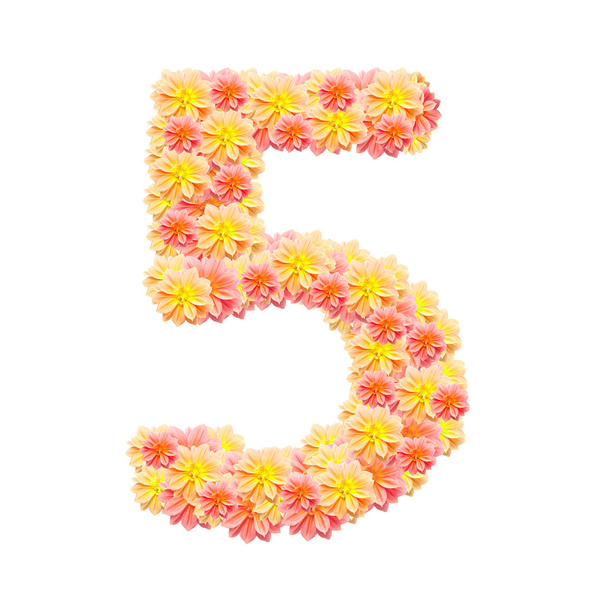 5, цветочный алфавит изолирован на белом
 - Фото, изображение