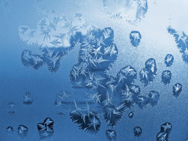 mróz lodowych kwiatów na szkle - Zdjęcie, obraz