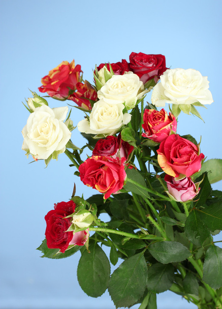 Bouquet of beautiful roses on blue background close-up - Φωτογραφία, εικόνα