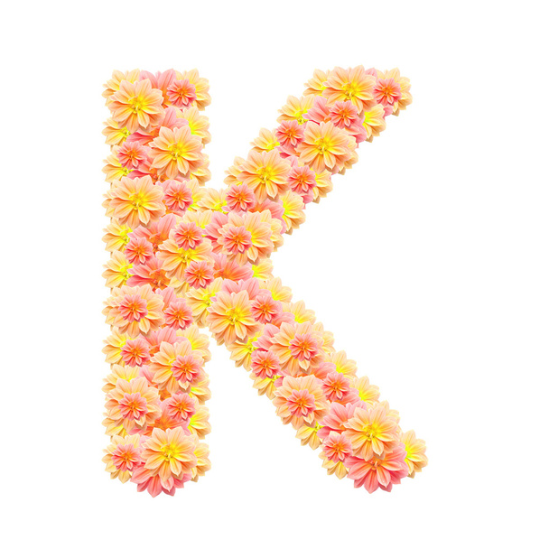 K,flower alphabet isolated on white - Photo, Image