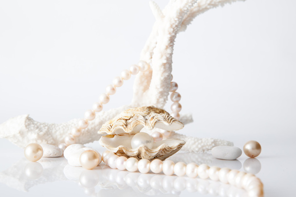 真珠のネックレスで飾られたホワイト シェル パール. - 写真・画像