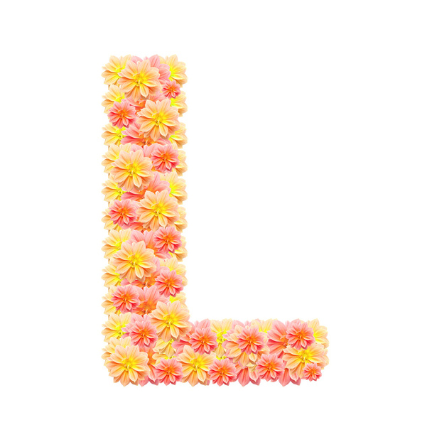 L,flower alphabet isolated on white - Foto, Bild