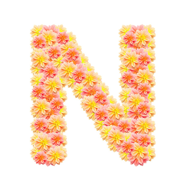 N,flower alphabet isolated on white - Фото, изображение