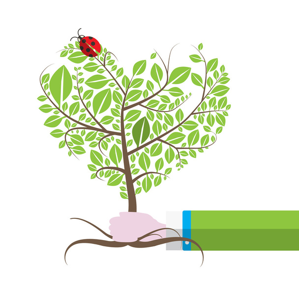 Tree in Human Hand with Ladybird, Ladybug. Isolated Vector Illustration. - Vector, Image