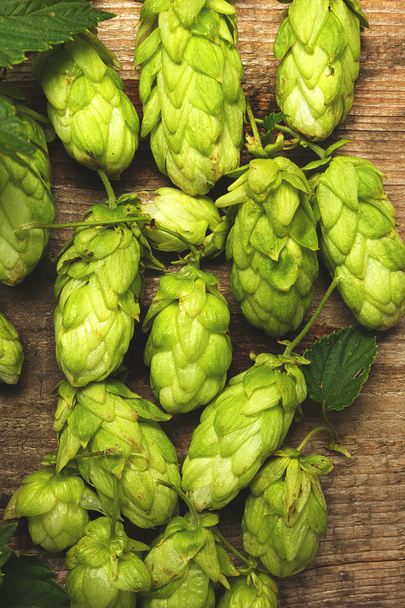 Fresh green hops on a wooden table closeup. Vintage toned - Photo, Image