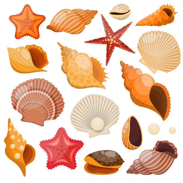 Shells And Sea Stars Icon Set - ベクター画像