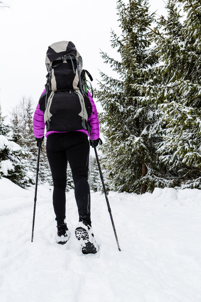 Nő hátizsákos túrázás-a téli erdő a hó - Fotó, kép