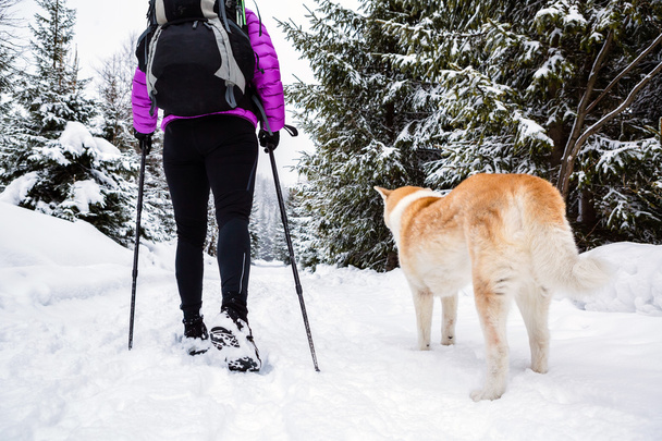 Backpacker wandelen in winter forest met hond - Foto, afbeelding