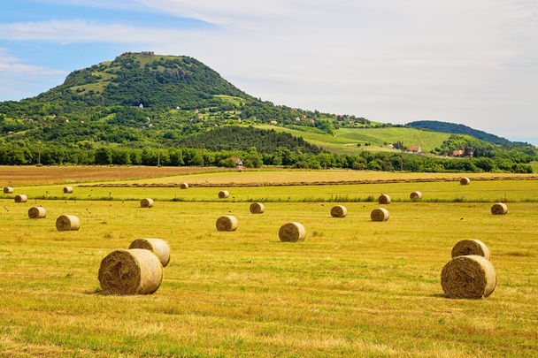 Hay bales at the foot of Badacsony mountains in Hungary - Photo, Image