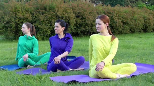 Zajęcia jogi w parku. Trzy Gils siedzi w pozie Lotos i skręcić ciało. - Materiał filmowy, wideo