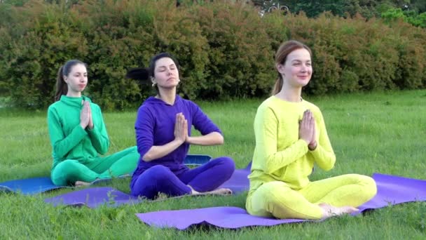 Μάθημα γιόγκα στο πάρκο. Τρία κορίτσια κάνουν Namaste στην κάμερα. - Πλάνα, βίντεο
