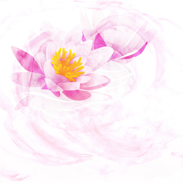 Pink water lily watercolor illustration isolated on white - Photo, Image