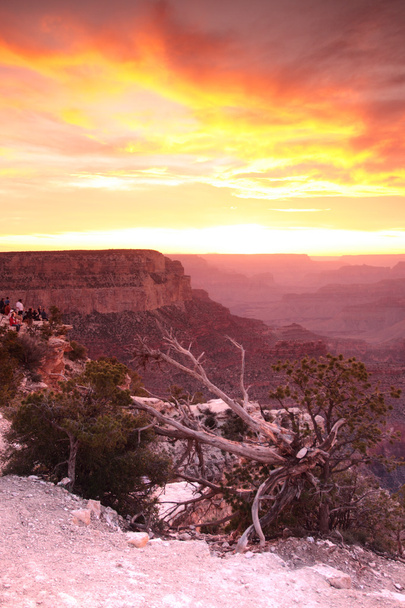 Εθνικό Πάρκο Grand Canyon, ΗΠΑ - Φωτογραφία, εικόνα