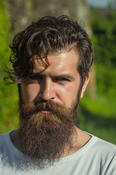handsome bearded man sunny outdoor - Foto, Bild