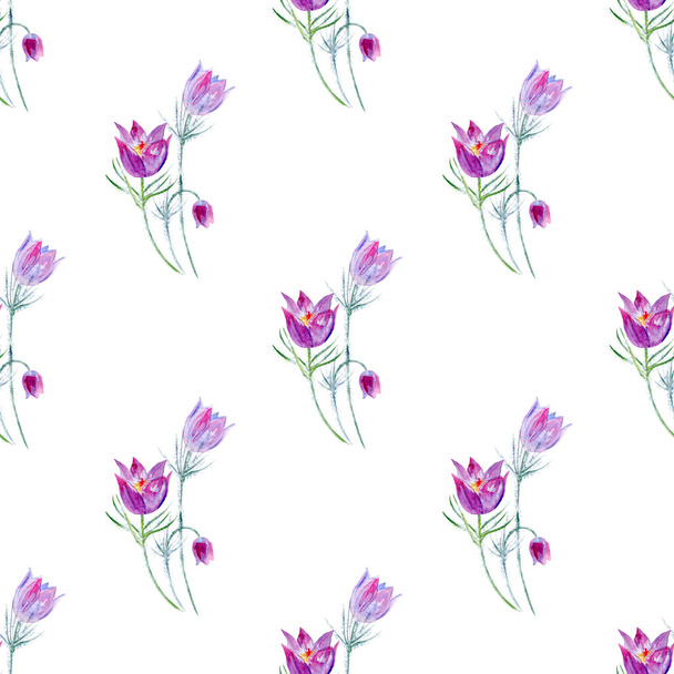 Floral seamless pattern with pasque flowers. - Zdjęcie, obraz
