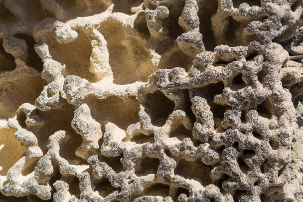 Strukturovaný vápencový kámen s povrchem erozní houby - Fotografie, Obrázek